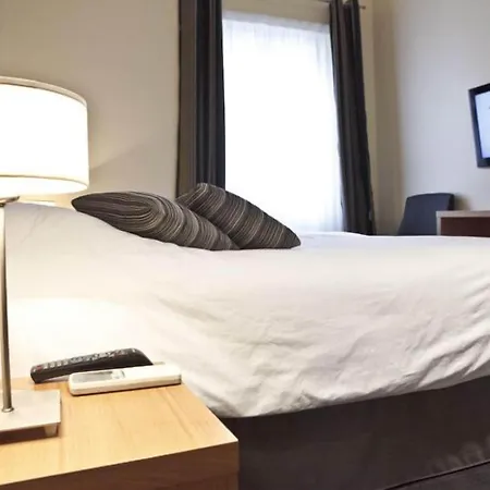 Hotel Modern